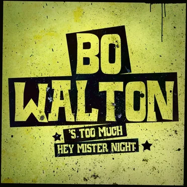 'S Too Much / Hey Mister Night