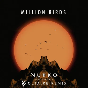 Million Birds (Voltaire remix)