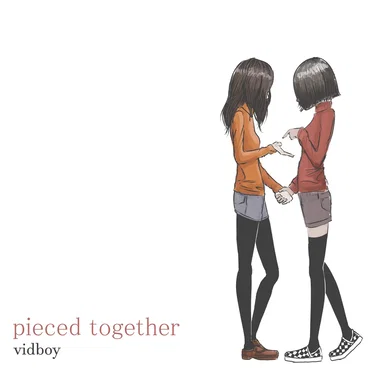 pieced together by Vidboy - album cover