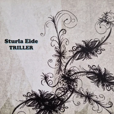 Triller by Sturla Eide - album cover