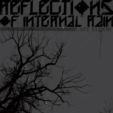 Last Flood by Reflections of Internal Rain - album cover
