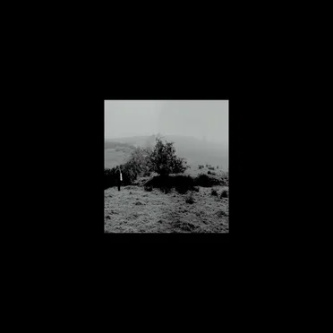 Fog Songs by James Smith - album cover