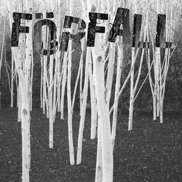 Förfall