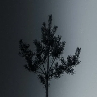 Sentidos by Alex Berhm - album cover