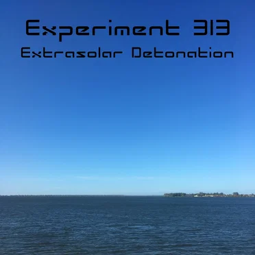 Experiment 313