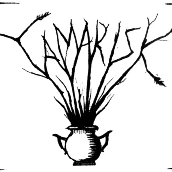 Tamarisk