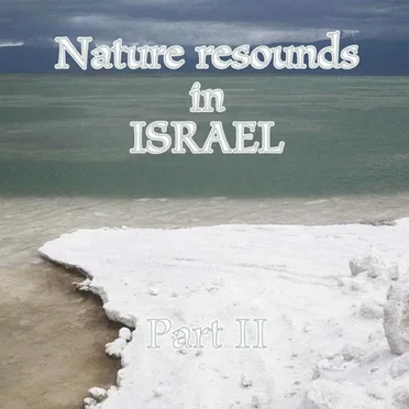 Nature Resounds in Israel - Part II