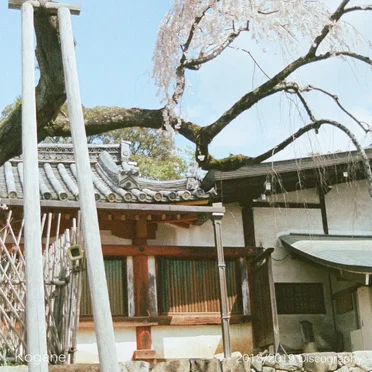 2018 / 2019 Discography