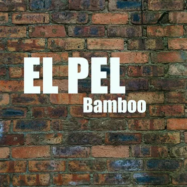Bamboo