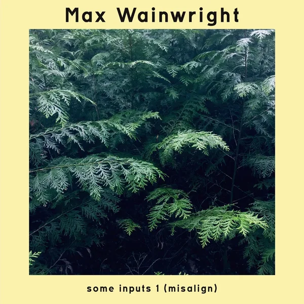 some inputs 1 (misalign)