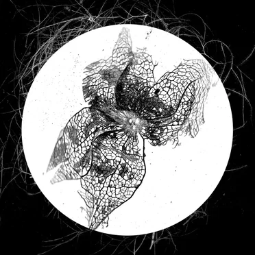 Kontinuum by Tengri - album cover