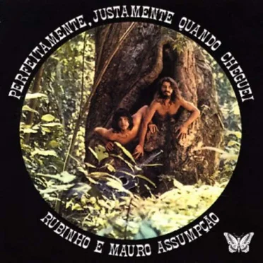 Perfeitamente, Justamente Quando Cheguei by Rubinho e Mauro Assumpção - album cover