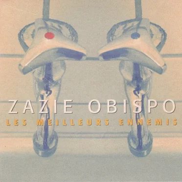 Les Meilleurs Ennemis