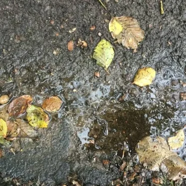 First Rain:exhale