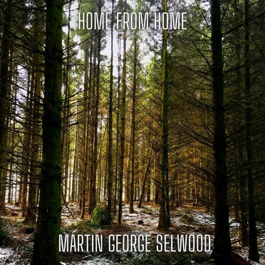 Home from Home by Martin George Selwood - album cover