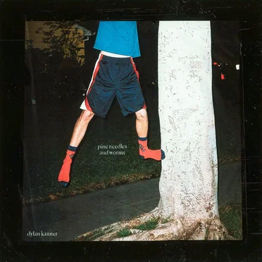 pine needles and worms by dylan kanner - album cover