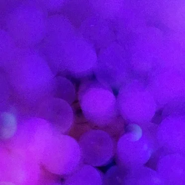 Hi Pressure by Twin Drugs - album cover