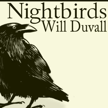 Nightbirds