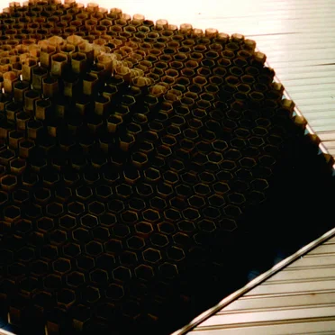 Cat of Shell, Vol. 1