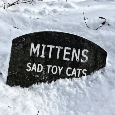 Mittens by Sad Toy Cats - album cover