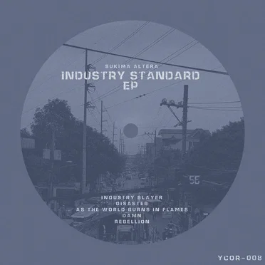 INDUSTRY STANDARD