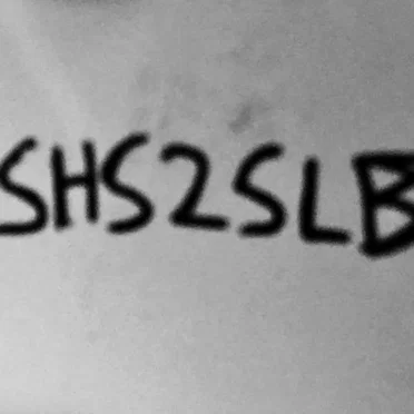 SHS2SLB by Snowy - album cover