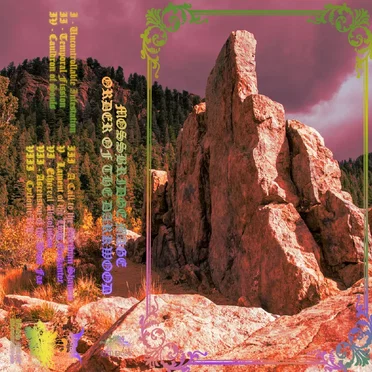 Order of the Darkwood by Mossbridge Mage - album cover