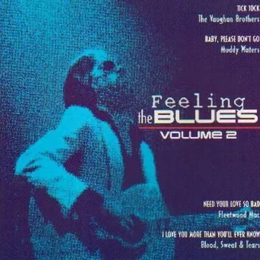 Feeling The Blues Volume 2 by Various Artists - album cover