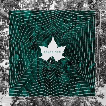 Dolge poti by Platana - album cover