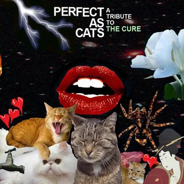 Perfect as Cats: A Tribute to the Cure by Various Artists - album cover