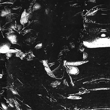 Sweat Rag by Steve Smith - album cover