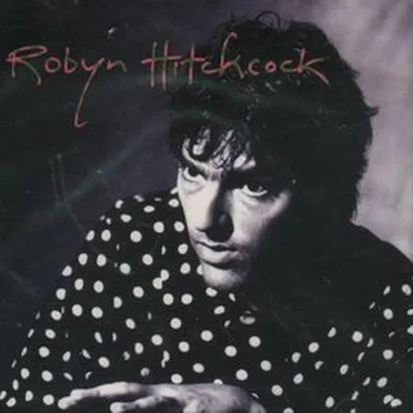 Robyn Hitchcock