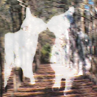 soulbound by fairies in our house - album cover