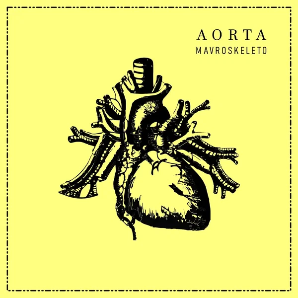 Aorta