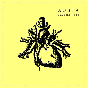 Aorta