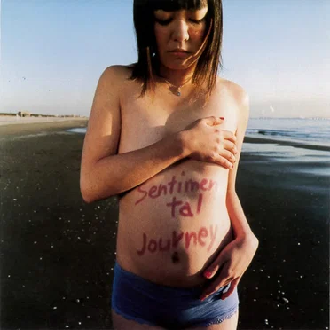 Sentimental Journey by Seagull Screaming Kiss Her Kiss Her - album cover