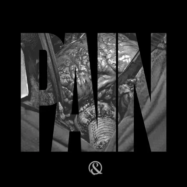 Pain