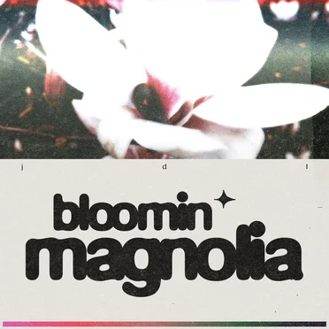 Bloomin Magnolia