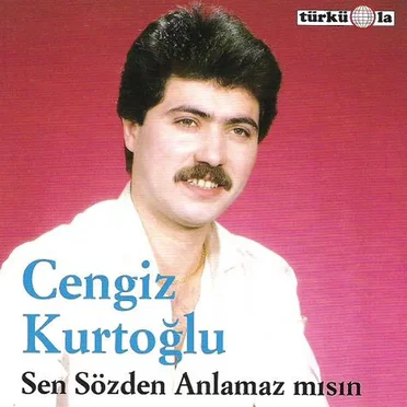 Sen Sözden Anlamaz mısın?
