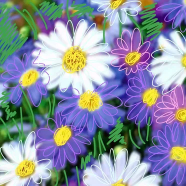 Daisies