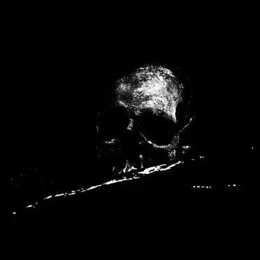 Decaying Hope by Harmony of Struggle - album cover