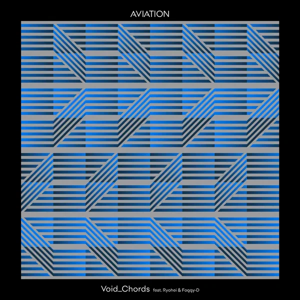 AVIATION (SARE Electro House Remix)