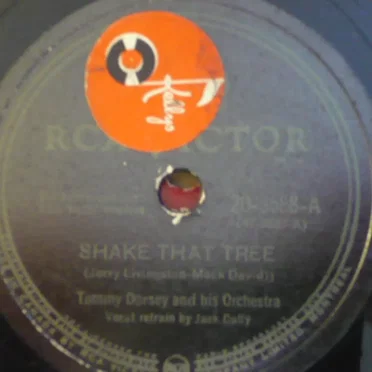 Shake That Tree / Hollywood Hat