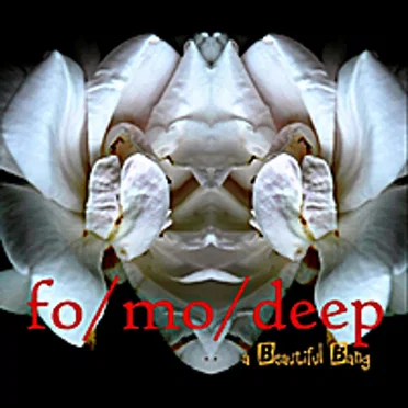 A Beautiful Bang by fo/mo/deep - album cover