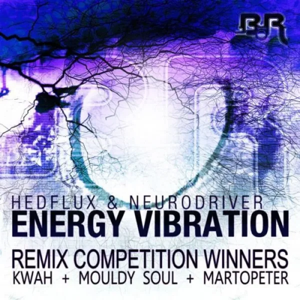 Energy Vibration (Remix Competition Winners)