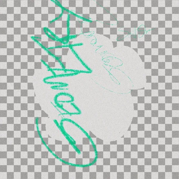 Digital Geometry