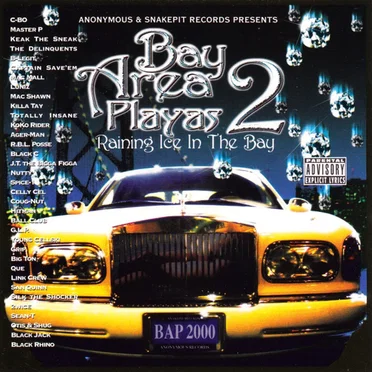 Bay Area Playas 2 by Various Artists - album cover