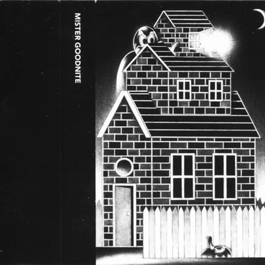 Nite In The Attic by Mister Goodnite - album cover
