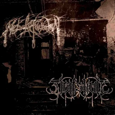 Nebelschwaden / Wolfskult