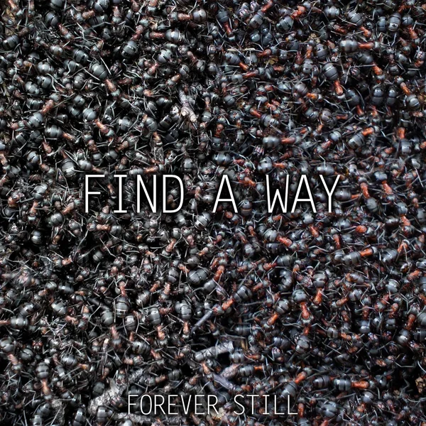 Find a Way
